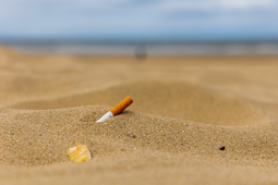 related image for the blog, Taking Action on Cigarette Filter Litter: Why It Matters for Our Communities 
